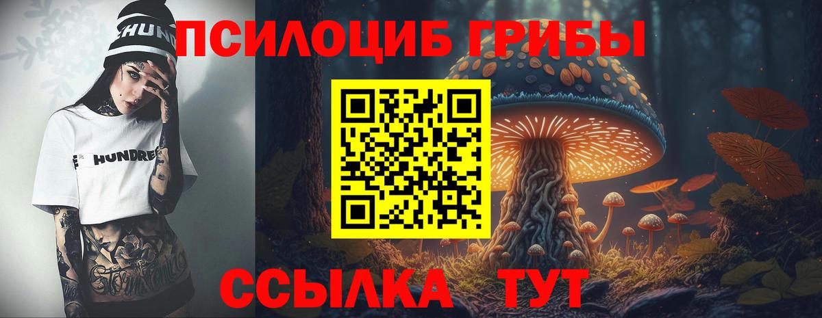 Галлюциногенные грибы прущие грибы Шарыпово