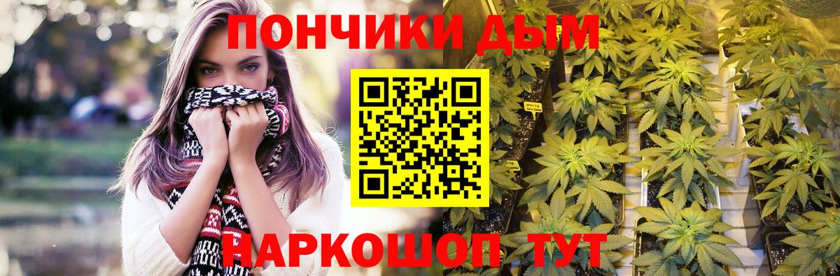 Бошки марихуана марихуана Шарыпово